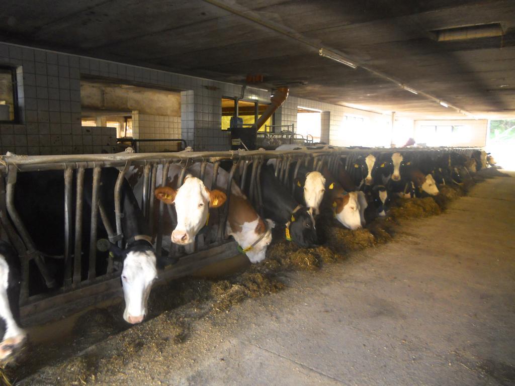 Ferienwohnung Am Bauernhof Strassonig Vulgo Hornis Moosburg Buitenkant foto